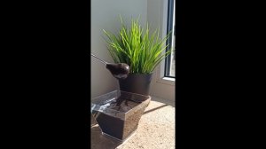 Комплекс гуминовых и фульвовых кислот.