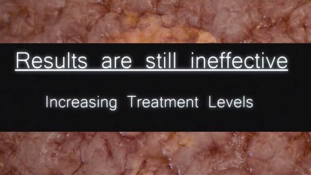 HAPPY MEAT FARMS HUMAN TRIALS tier list and theories