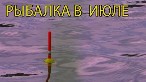 Поменял место и рыба поперла! Рыбалка на поплавок в июле 2022.