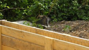 Опалубка под фундамент для бани.