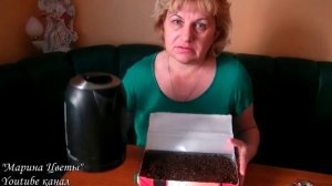 Сеем Сальвию на рассаду! Грунт, посев, полив, уход. Цветы для Вашего сада!