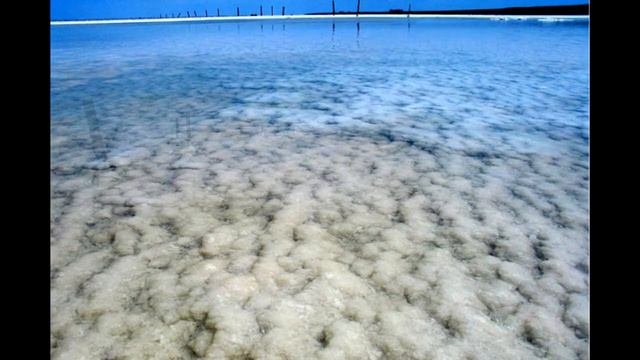 Озеро Баскунчак! Lake Baskunchak!