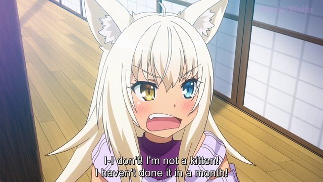 Dark Vanilla Loli Neko || Loli Coconuts || Nekopara: Koneko no Hi no Yakusoku смотреть онлайн