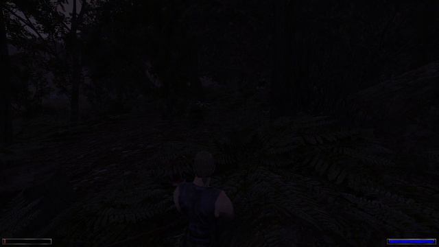 Необычный путь до болотного лагеря ➤ Gothic 1: AWAKENING #15 смотреть онлайн