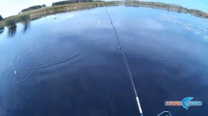 Щука делает свечку