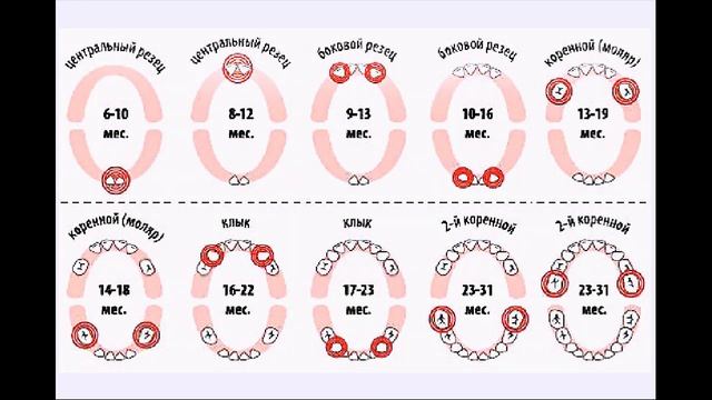 Первый зуб.Как справиться.Фото первых зубов.The first milk tooth.The first milk tooth смотреть онлайн