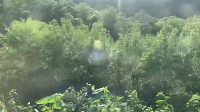 Сахалин. Дачные кооперативы на краю России. смотреть онлайн