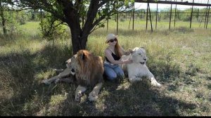 Фото между Гердой и Геком ! Тайган