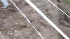 Что делать с землей в теплице осенью