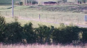 Цифровой бинокль день-ночь ATN BINOX-HD 4-16x.