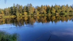 СМОТРИМ не как у всех рыбалка плюс палка с косынкой.Проверка снастей в доль речки таежной заваленной