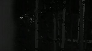 Pard SA32-25LRF в лесу