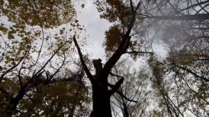 Ирма Отто - ПОРТРЕТ ЖЕНЫ ХУДОЖНИКА