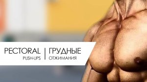 Как накачать грудь дома? Отжимания /  Привести в тонус мышцы рук?