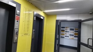 Околица: как выглядит новый семейный район в Новосибирске