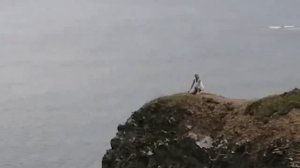 Северное побережье приморского края август 2021.г