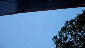 Как записать и усилить пение птиц?