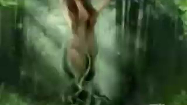 Dryads, wood-nymphs смотреть онлайн