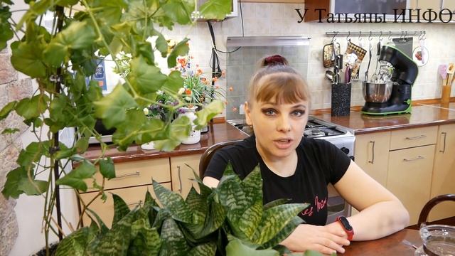МАГНЕЗИЯ / Сульфат Магния Восстановит Иммунитет даже мертвым растениям ;)