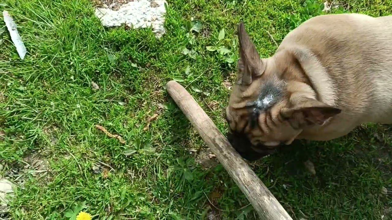 19 мая 2023 г. смотреть онлайн