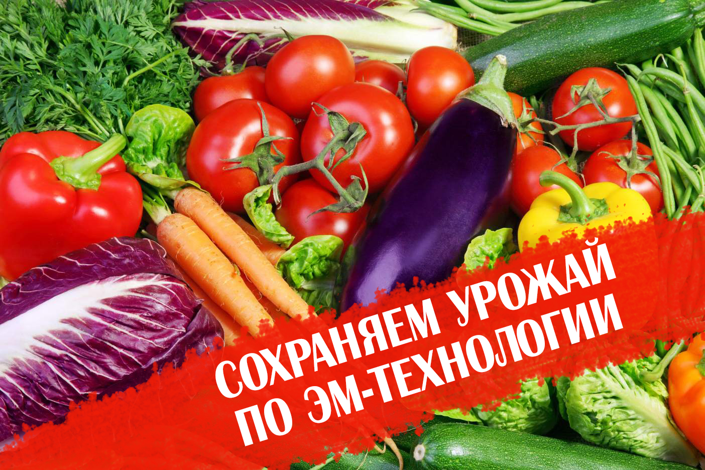 Эмикс в быту и особенности сохранения урожая с помощью эффективных микроорганизмов