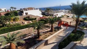 Отель Safir Sharm Waterfalls Resort 5*. Шарм-эль-Шейх. Египет. Обзор отеля, 1 часть.