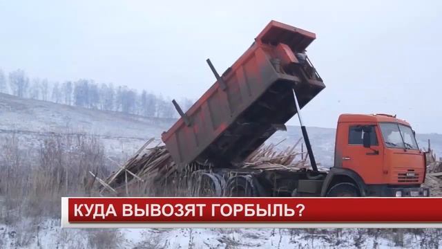 КУДА ВЫВОЗЯТ ГОРБЫЛЬ? смотреть онлайн