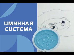 Имунная Система. Катушки Мишина (вихревая медицина)