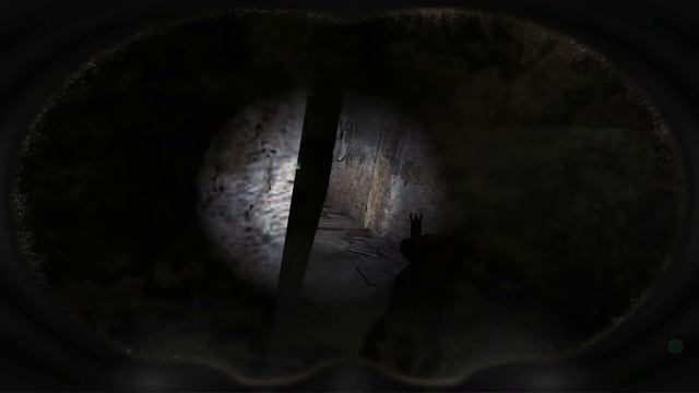 Кто обитает в тайнике Стрелка? S.T.A.L.K.E.R NLC 7 build 3.8.1 №26 смотреть онлайн