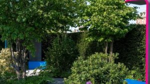 Chelsea Flower Show 2023 all 36 gardens and winners at this year's show