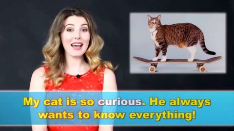 АнглоСлов Английские Слова на Каждый День Прилагательные . Посмотрите опрос в подсказках