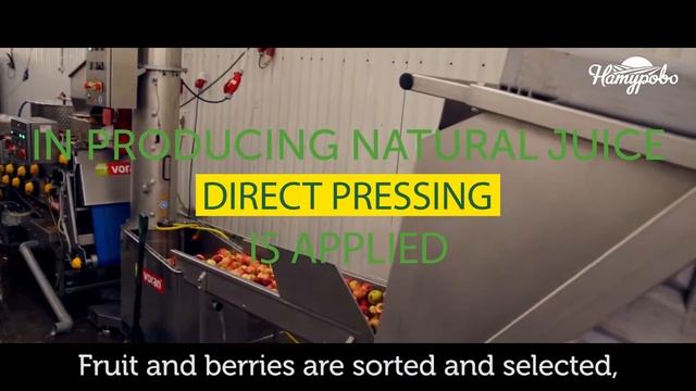 Our Manufacture смотреть онлайн