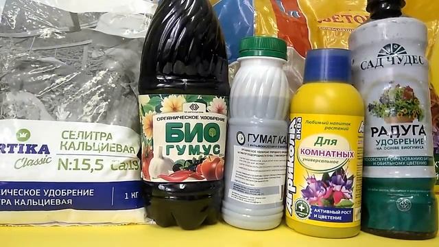 ЭУСТОМА /// Прежде чем СЕЯТЬ, хорошенько ПОДГОТОВЬТЕСЬ смотреть онлайн