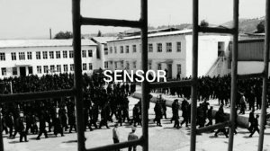 Зелёный, СТРОГИЙ - На нары