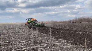 Amazone Cirrus 6003 посев яровой пшеницы по стерне подсолнечника