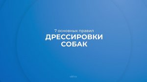 Интернет курс обучения «Кинология» - 7 основных правил дрессировки собак