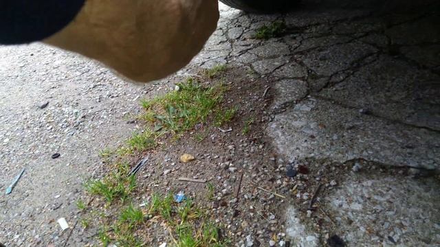 Внимание! Розетка прицепа на Калине, Гранте смотреть онлайн