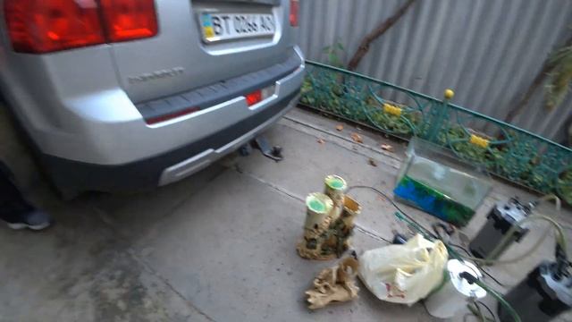 Нам подарили аквариум на 400 литров и австралийские крабы с икрой смотреть онлайн