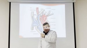 Лекция Кафарова: клиническая анатомия сердца