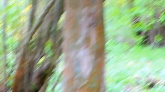 Nikon Coolpix S6150 Video Test HD смотреть онлайн