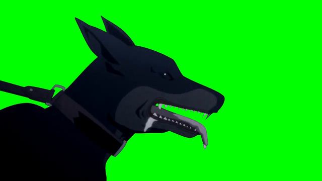 Dog Green Screen Video смотреть онлайн