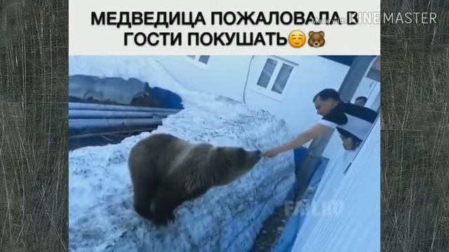 Ржал очень долго)))Приколы в России 🤣