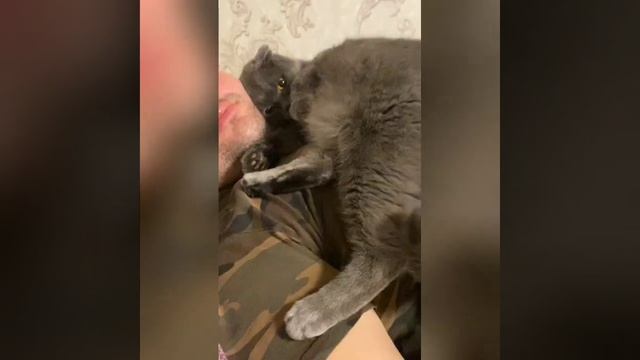 Приколы - 008.mp4