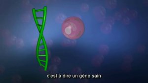 Doctissimo - De l’ADN à la thérapie génique
