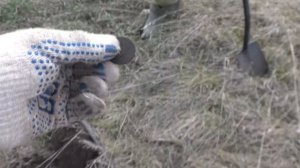 СБЫЛАСЬ МЕЧТА КЛАДОИСКАТЕЛЯ / ОН НАШЁЛ - ЧТО ИСКАЛ 💰