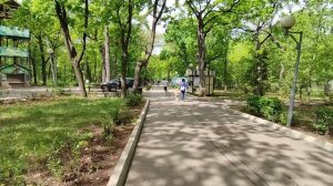 Прогулки в Самаре. Загородный парк. 2023г. лето