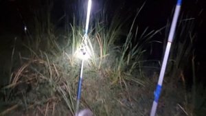 BALIQ OVI MAVLANOVGA BORDIK LAQQA BALIQ USHLASHGA