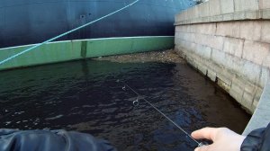 #9 Утренний мормышинг