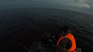 Ловля судака на Ладоге 2023 | Отличный клев клыкастого на вечерней зорьке