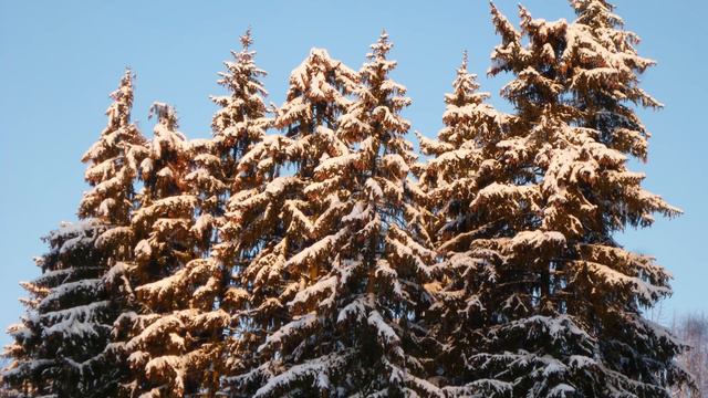 Аудиоальбом "Рождественский снег" смотреть онлайн